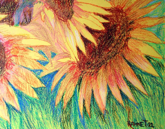 My Beautiful Sunflowers