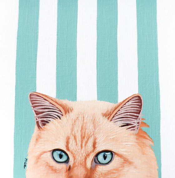 CAT SEE YOU 7