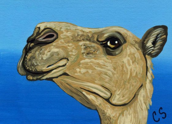 ACEO ATC Original Painting Camel Wildlife Art-Carla Smale