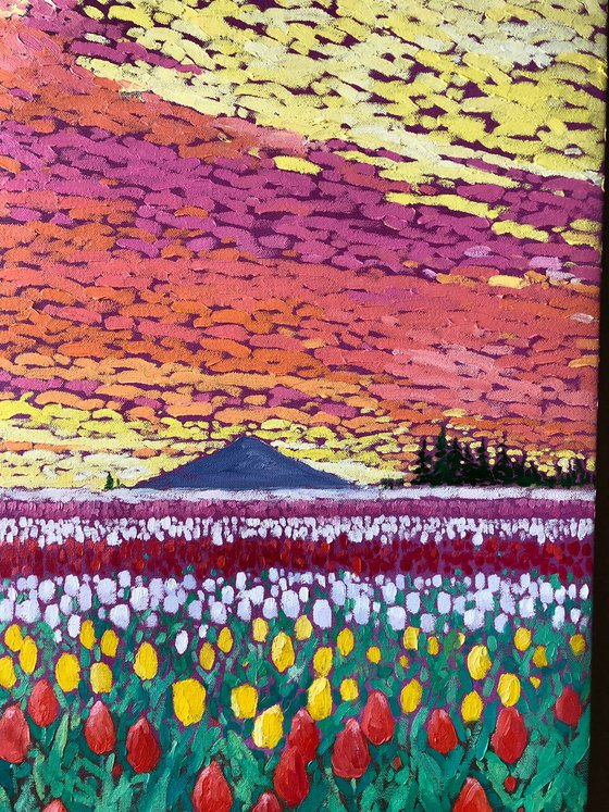 Field with tulips