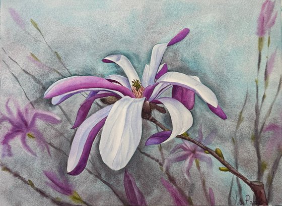 Magnolia watercolor flowers №1