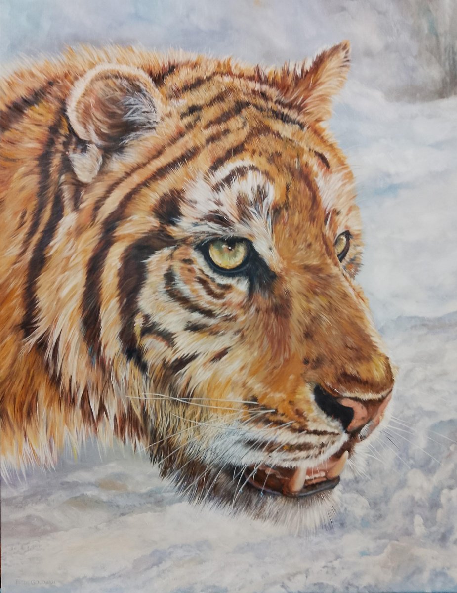 Photorealistic Animal Oil Painting By Peter Goodhall, 24 X 30", Siberian Prince, Original Artwork
