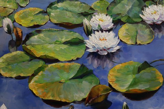 "Summer Morning on the Pond"