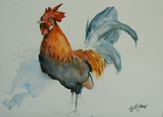 Rooster