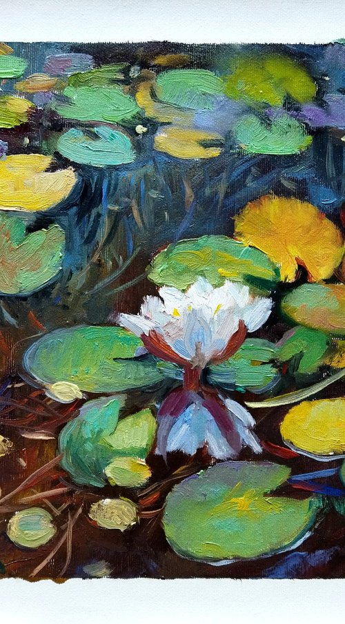 Morning Lily Pond by Ann Krasikova