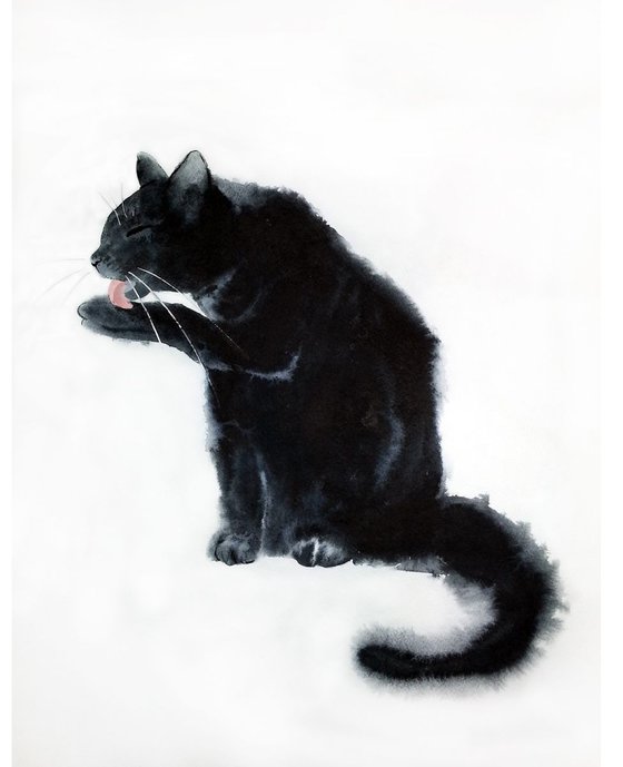 Black cat licking itself