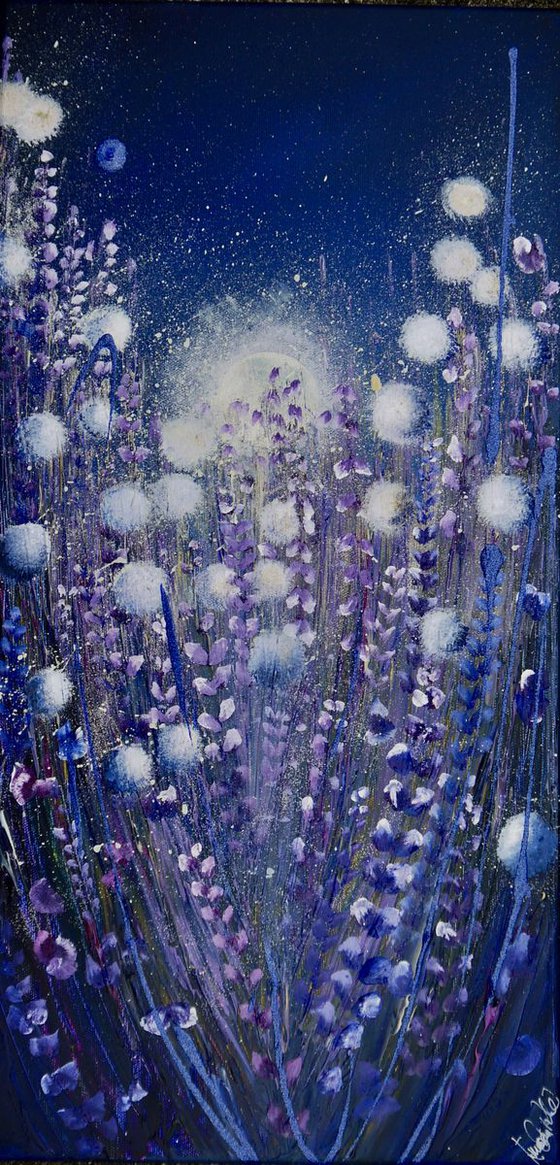 Moonlight and fluffy seeds