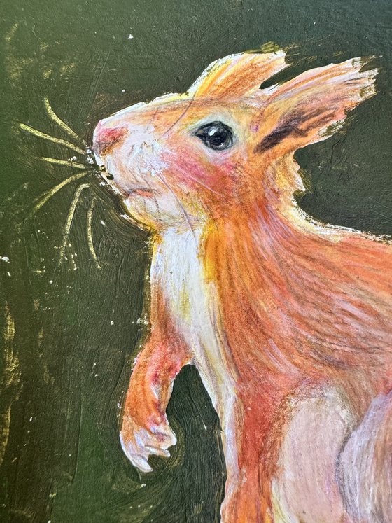 Squirrel
