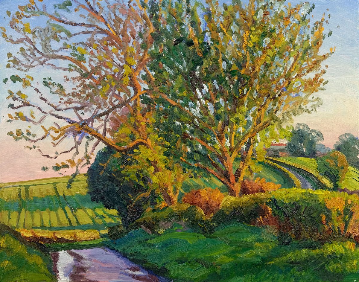 Expressive Landscape Oil Painting By Jeff Parker, 14 X 11, Last Light, Thornton Lane, Original Artwork