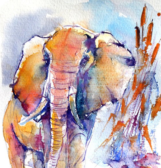 Elephant