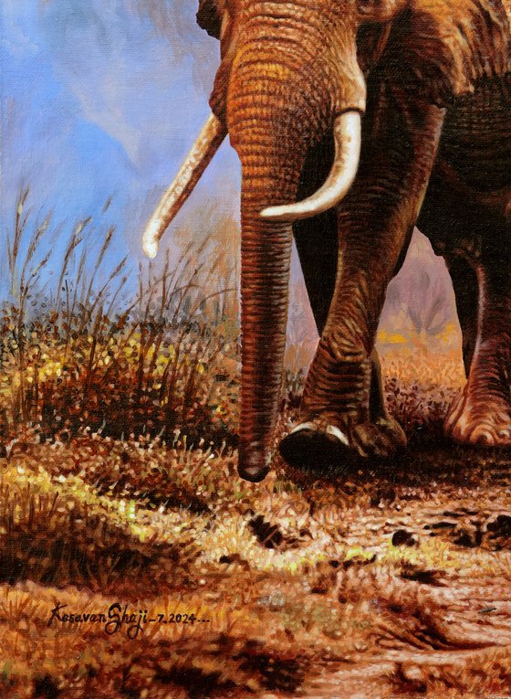 Wild Elephants 2