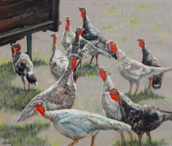 Turkeys