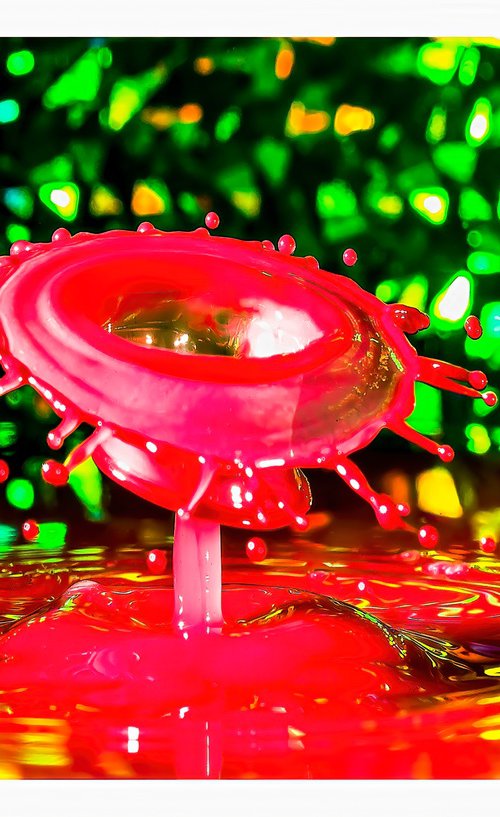 'Christmas Carousel' - Liquid Art Waterdrop Collection by Michael McHugh