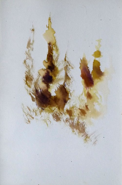 Pine Wood Study 3, 24x16 cm by Frederic Belaubre