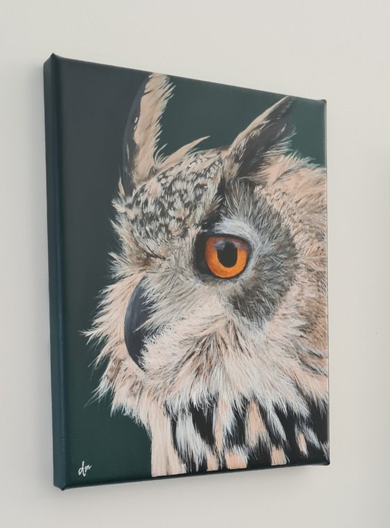 Owl