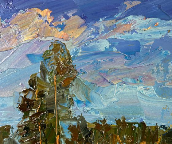 A Day Filled with Sunshine