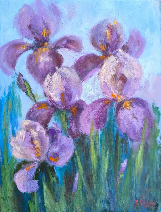 Irises