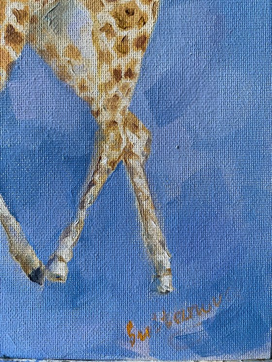 Giraffe’s portrait