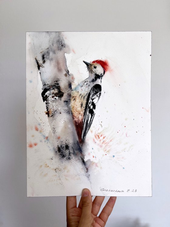 Woodpecker on a tree