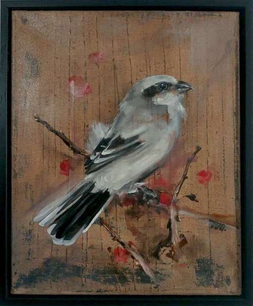 Bird by Dingo Babusch