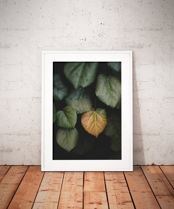 Winter leaves II | Limited Edition Fine Art Print 1 of 10 | 30 x 45 cm