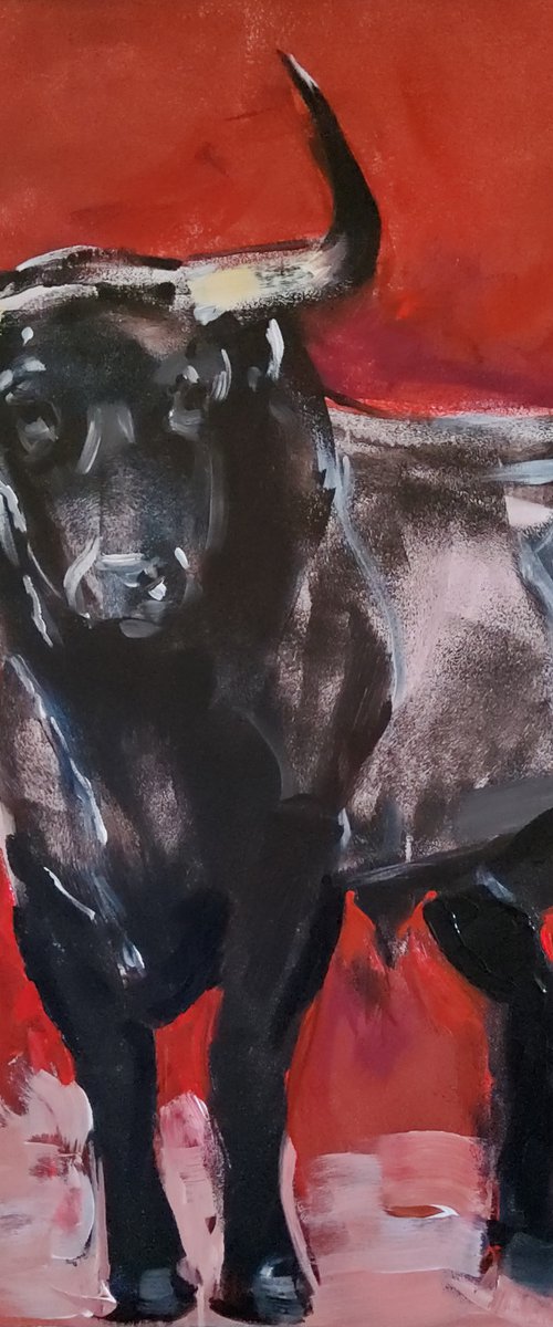 Toro series 6 by Marina Del Pozo