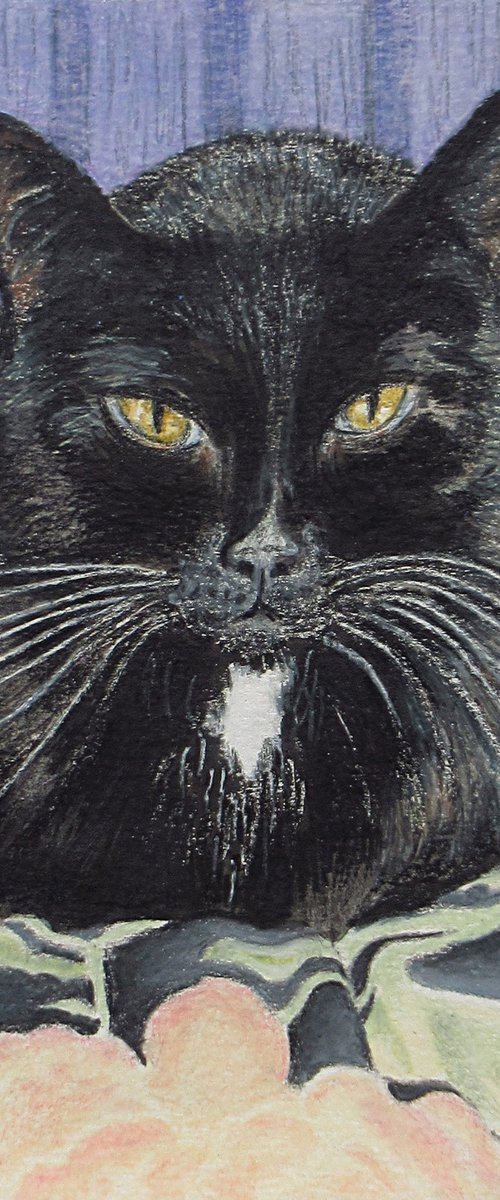 Cozy Cat by Nina Elaine Thompson