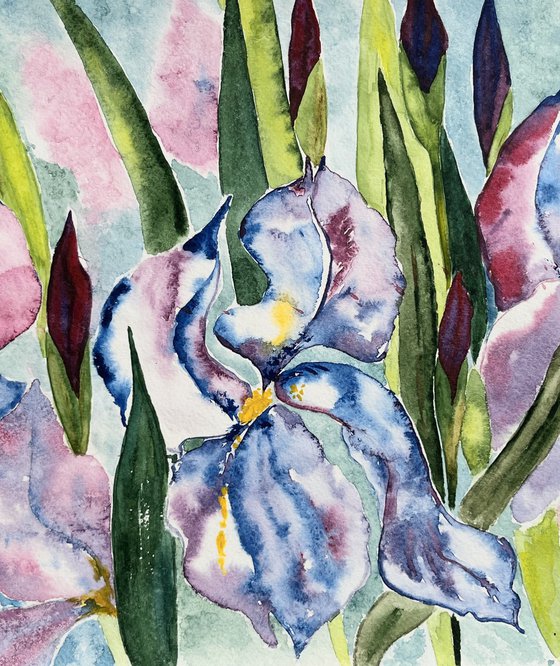 Irises Original Watercolor Art