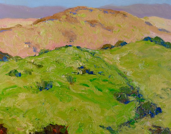 Spring in the Mountains