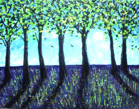 Micheldever Morning VI