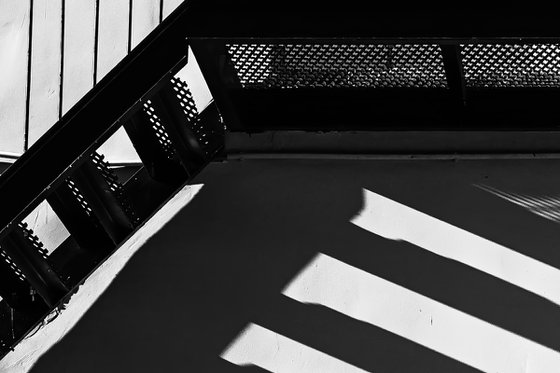 Lines