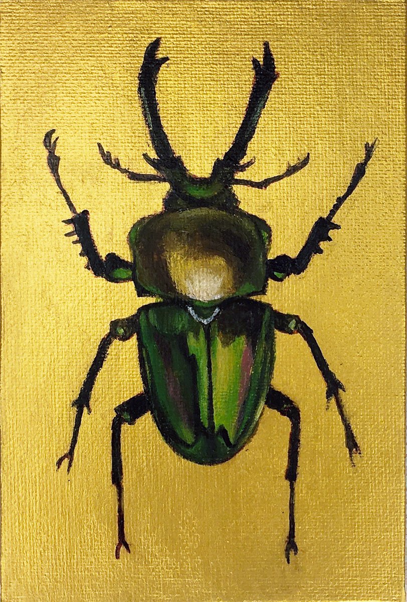 PHALACROGNATHUS MUELLERI - Golden collection of beetles by Tatiana Voskresenskaya