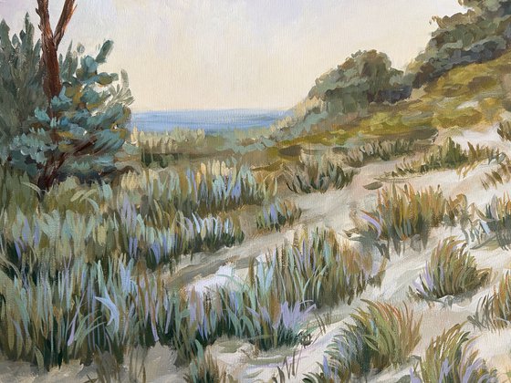 Evening in the Dunes