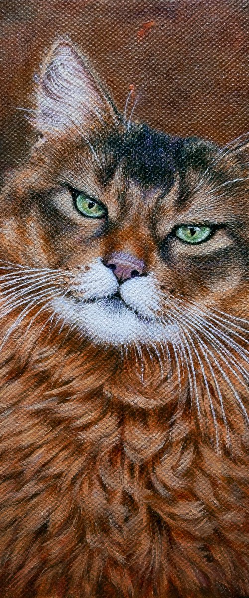 The Green Eyed Cat by Anastasia Woron