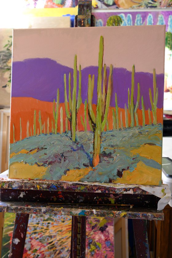 Saguaros. Desert Evening