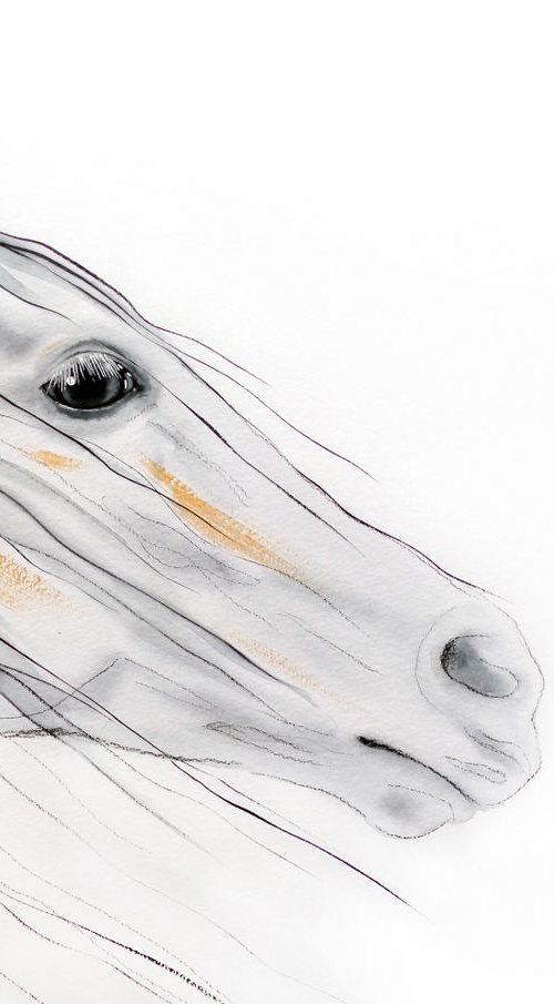White Beauty - Abstract horse by Olga Beliaeva Watercolour