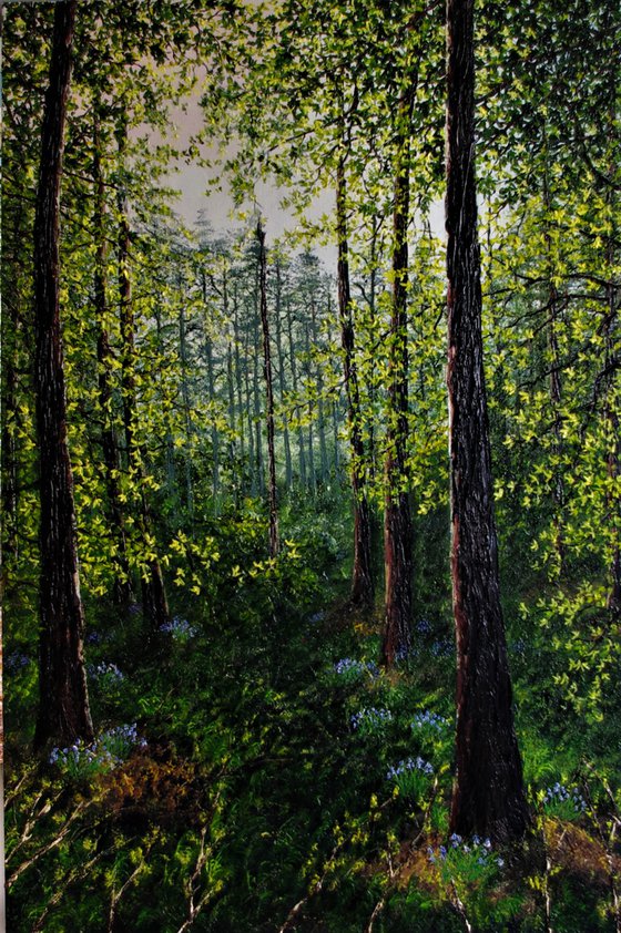 Deep Into Bluebell forest  92cm x 61cm