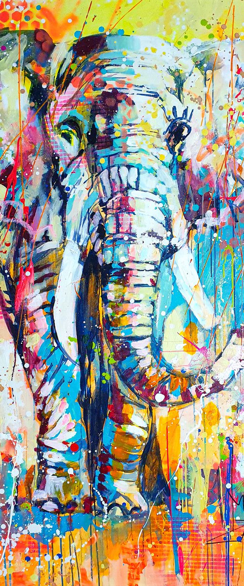 Sunny elephant by Marta Zawadzka