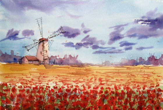 poppies field 4