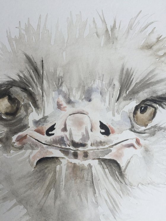 Ostrich painting “Good Morning”