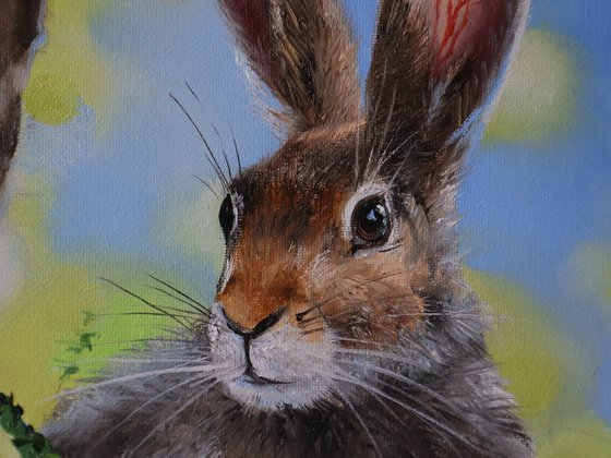Brown Hare Portrait, Spring Rabbit