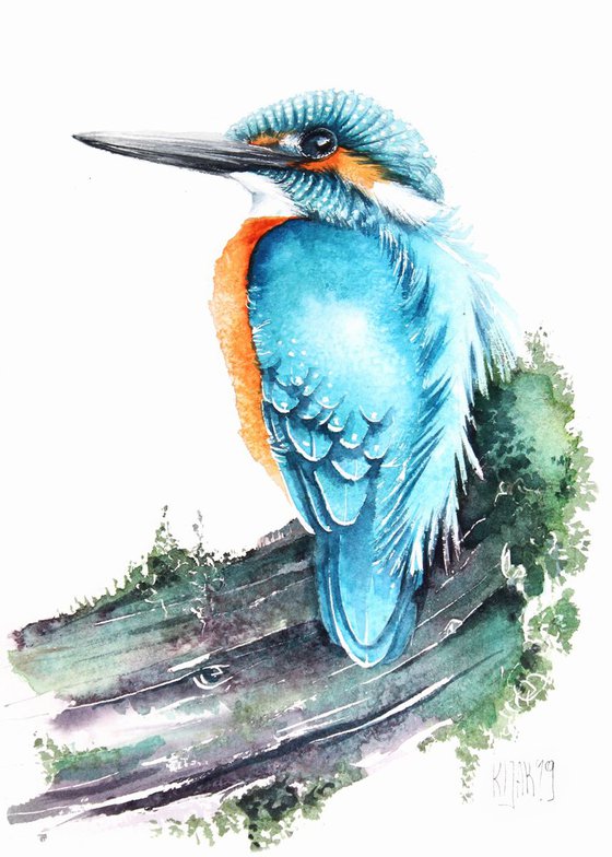 Kingfisher on branch, wildlife, birds watercolours