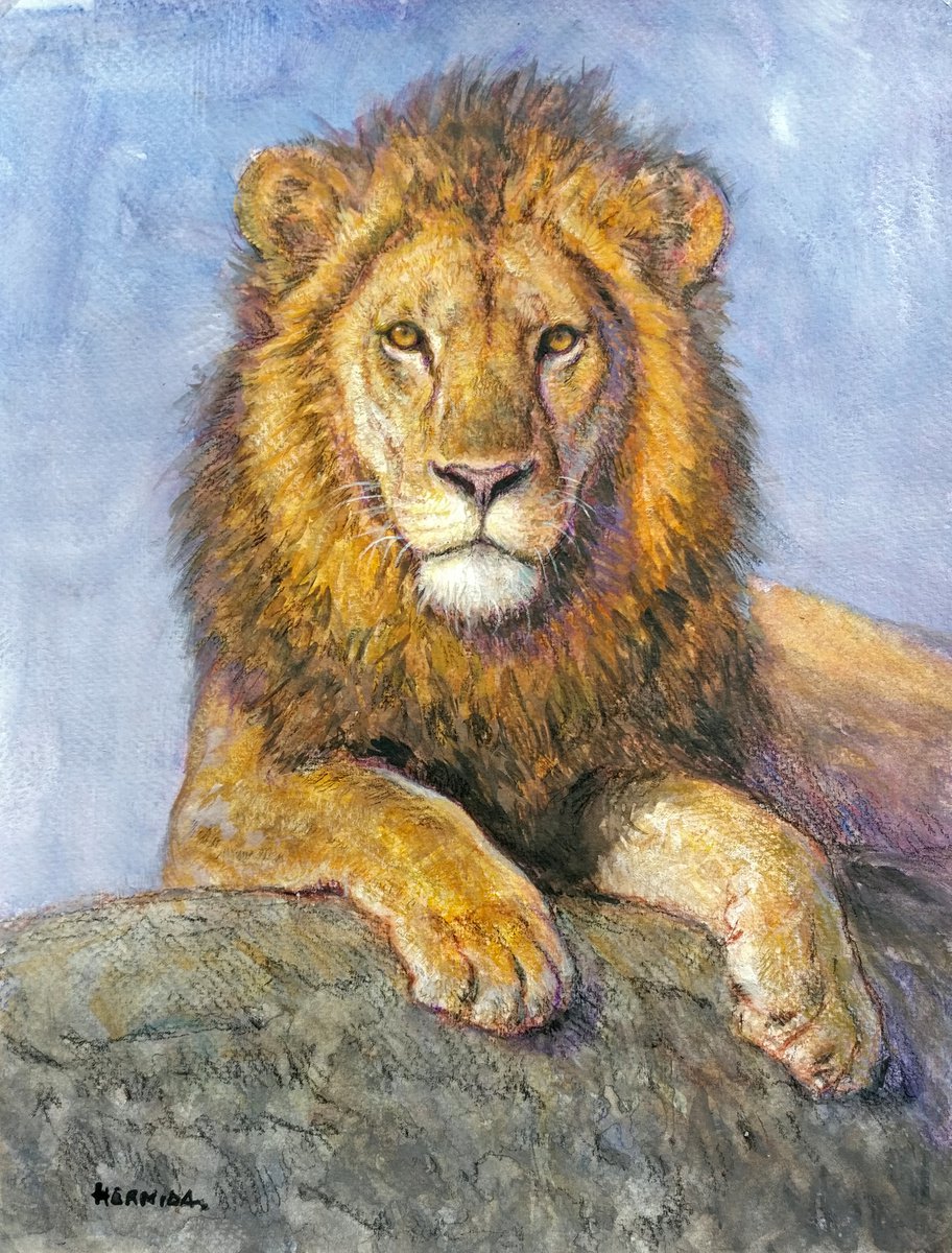 Lion by Gabriel Hermida