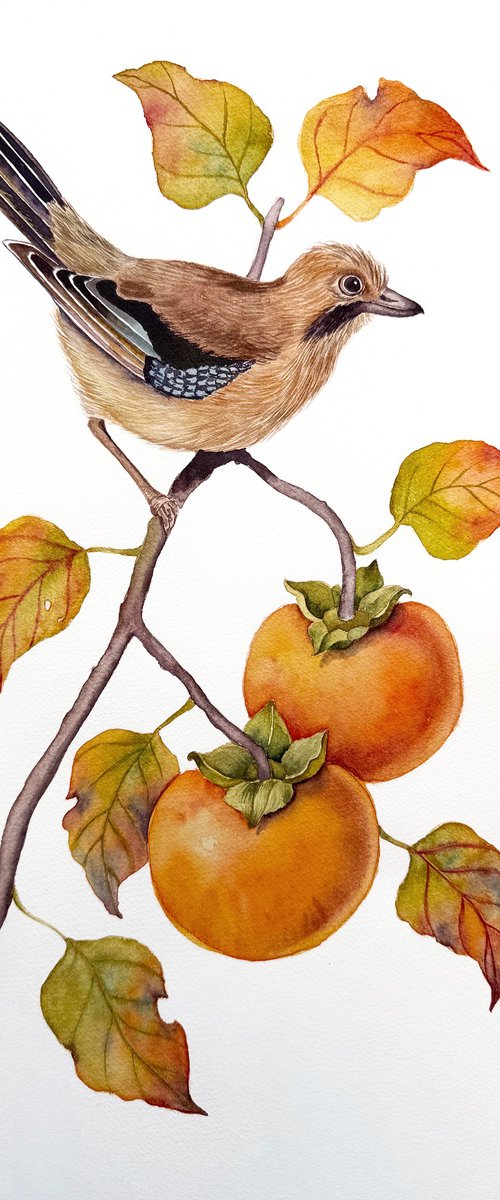Jay on a Persimmon Branch by Yuliia Malkina Bohuslavska