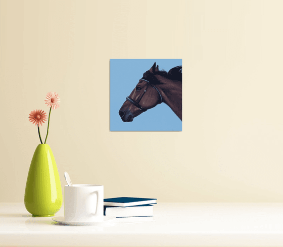 Horse Portrait 4