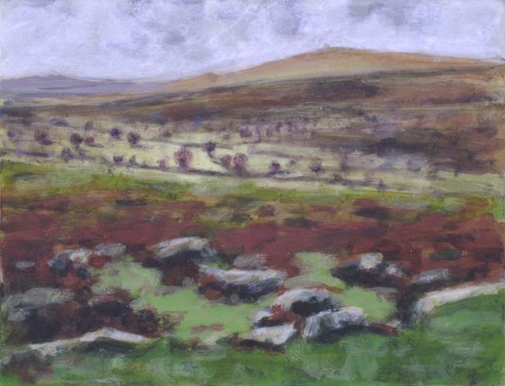 Dartmoor - rocks and  trees