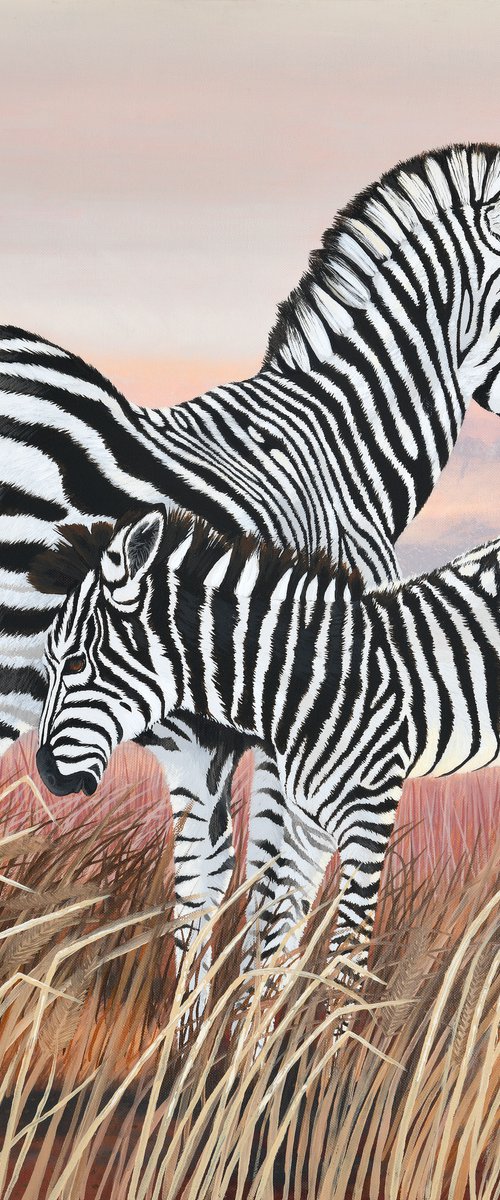 Zebra and Colt by Yvonne B Webb