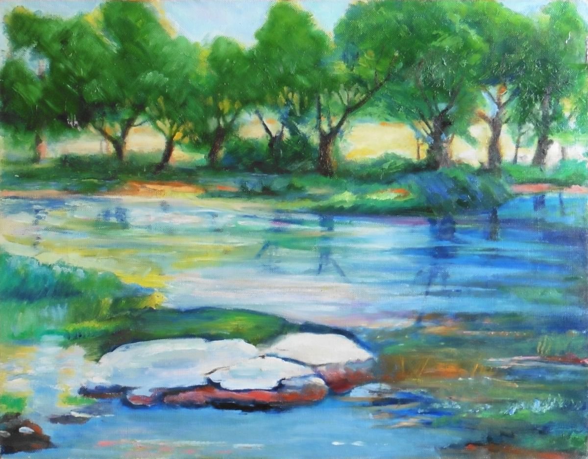 Belous river with stones by Vyacheslav Onyshchenko