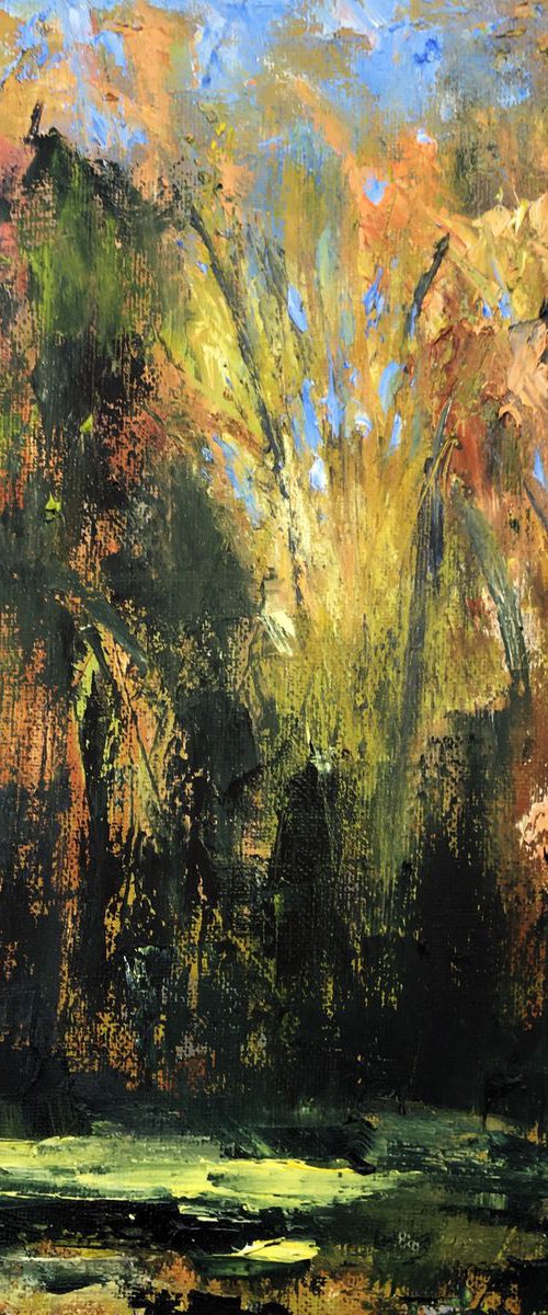 Autumn Light by Nikki Wheeler