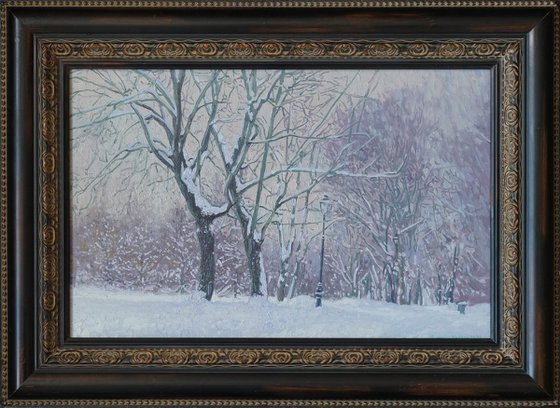 Maple Alley in January